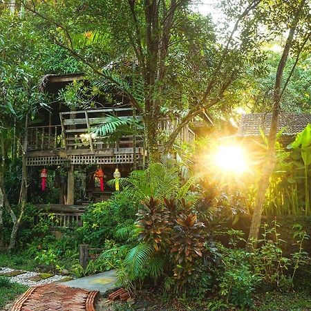 Tongluang Inthanon Homestay โต้งหลวงอินทนนท์โฮมสเตย์ 宗通 外观 照片
