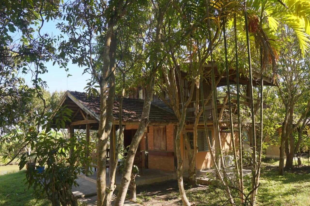 Tongluang Inthanon Homestay โต้งหลวงอินทนนท์โฮมสเตย์ 宗通 外观 照片