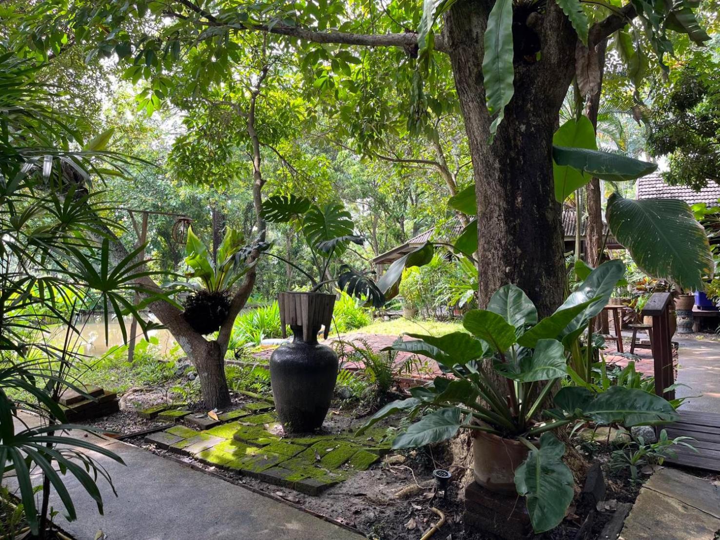 Tongluang Inthanon Homestay โต้งหลวงอินทนนท์โฮมสเตย์ 宗通 外观 照片