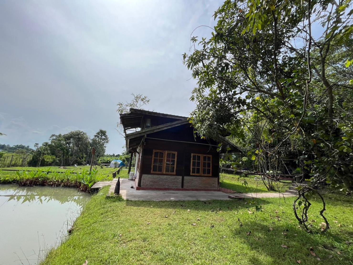 Tongluang Inthanon Homestay โต้งหลวงอินทนนท์โฮมสเตย์ 宗通 外观 照片