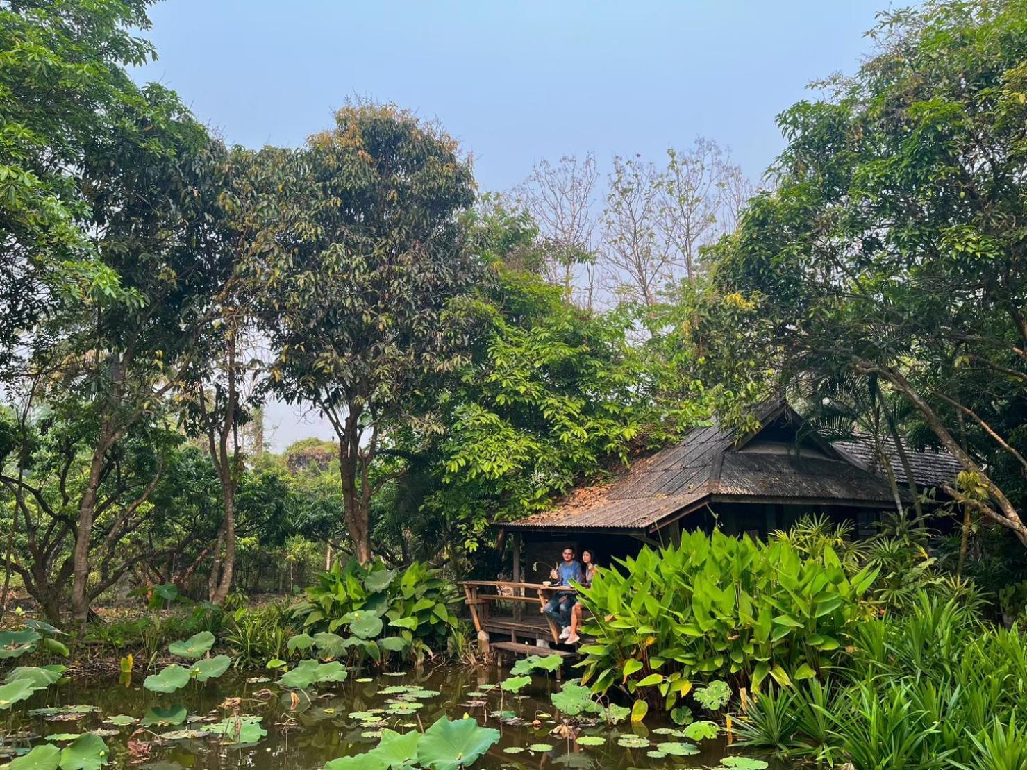 Tongluang Inthanon Homestay โต้งหลวงอินทนนท์โฮมสเตย์ 宗通 外观 照片